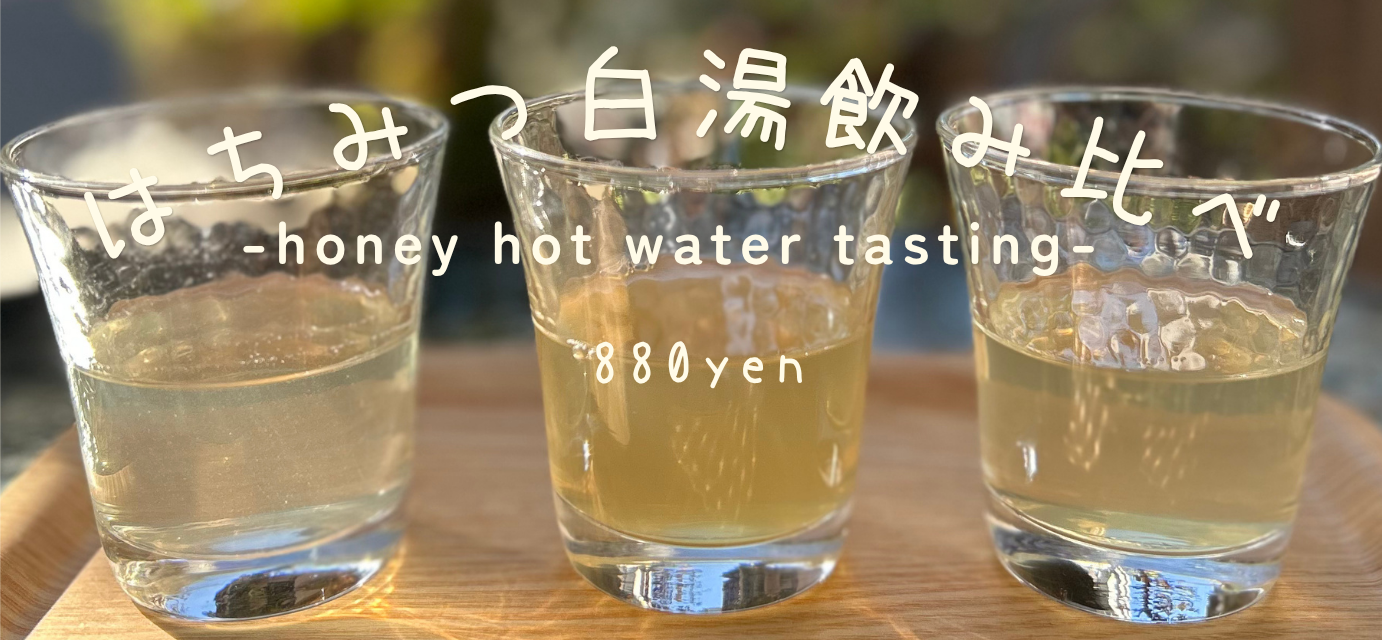 はちみつ白湯飲み比べ 始めました